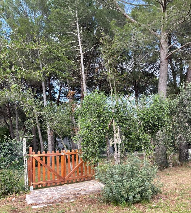 Agriturismo Podere Campalto 캄필리아 마리티마 외부 사진